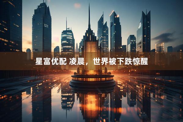 星富优配 凌晨，世界被下跌惊醒