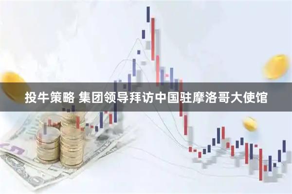 投牛策略 集团领导拜访中国驻摩洛哥大使馆