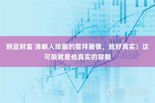 豌豆财富 清朝人绘画的鳌拜画像，脸好真实！这可能就是他真实的容貌