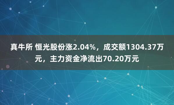 真牛所 恒光股份涨2.04%，成交额1304.37万元，主力资金净流出70.20万元