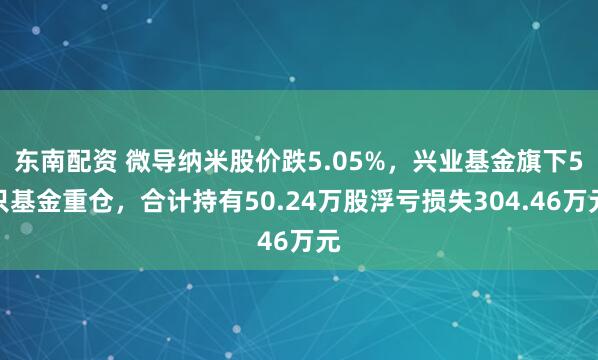 东南配资 微导纳米股价跌5.05%，兴业基金旗下5只基金重仓，合计持有50.24万股浮亏损失304.46万元