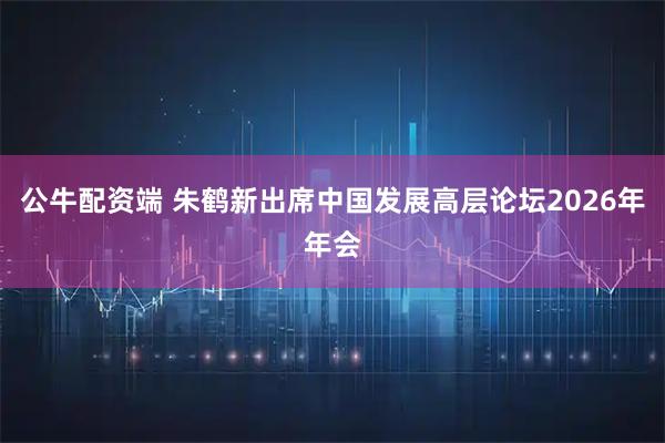 公牛配资端 朱鹤新出席中国发展高层论坛2026年年会