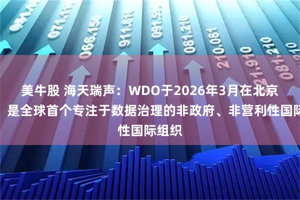 美牛股 海天瑞声：WDO于2026年3月在北京成立，是全球首个专注于数据治理的非政府、非营利性国际组织