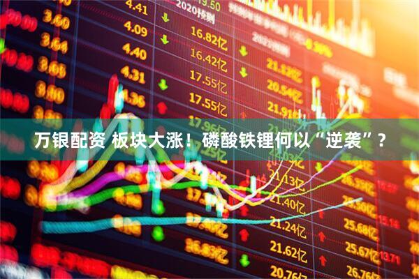 万银配资 板块大涨！磷酸铁锂何以“逆袭”？