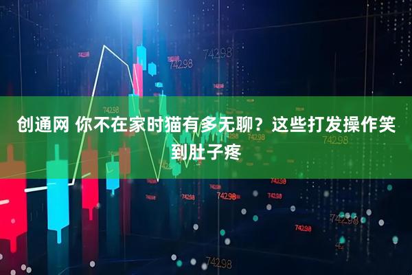 创通网 你不在家时猫有多无聊？这些打发操作笑到肚子疼