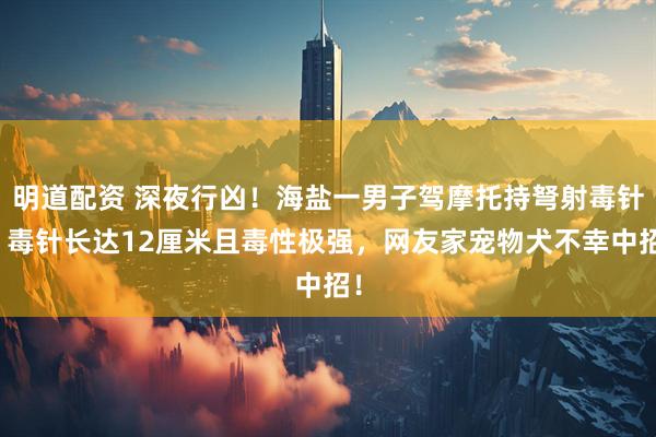 明道配资 深夜行凶！海盐一男子驾摩托持弩射毒针，毒针长达12厘米且毒性极强，网友家宠物犬不幸中招！